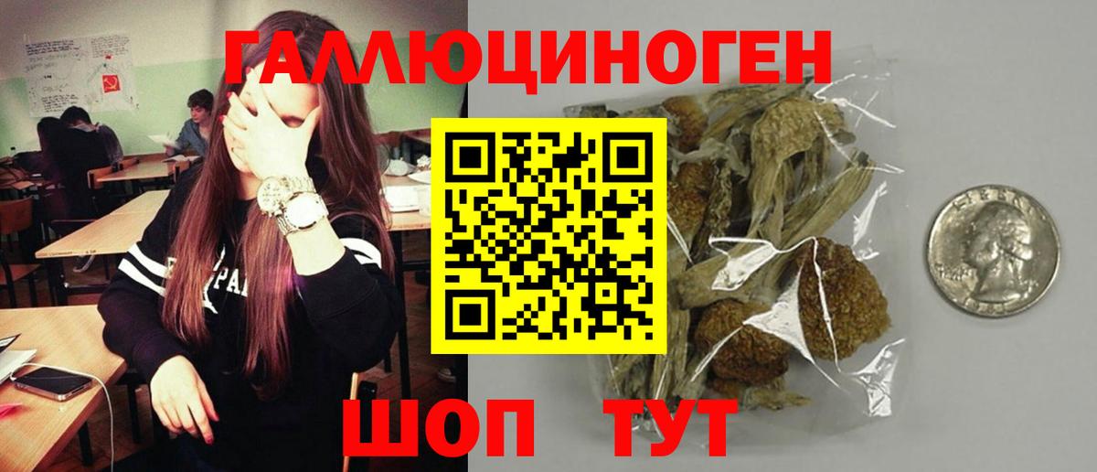Галлюциногенные грибы Psilocybine cubensis Верхняя Пышма